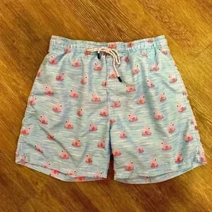 Broken Threads Surf Men’s Blue Flamingo Swim Trunks Shorts Lined Size Large